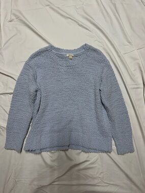 Style & Co. Light Blue Plush Crewneck Sweater